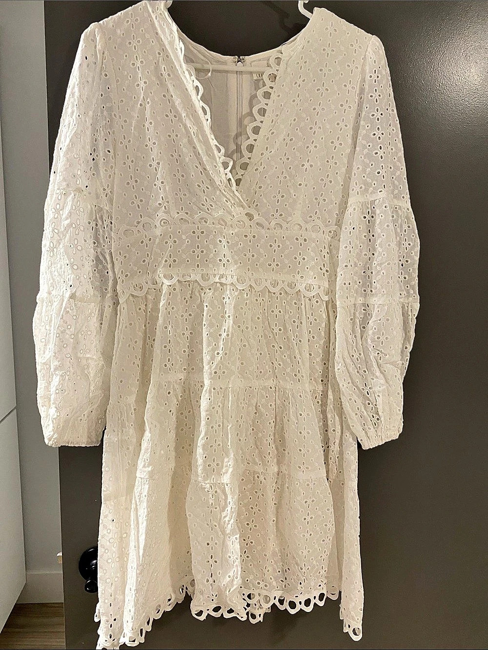 Lost + Wander Everlasting Love Long Sleeve Cotton Eyelet Dress Eyelet Mini Dress